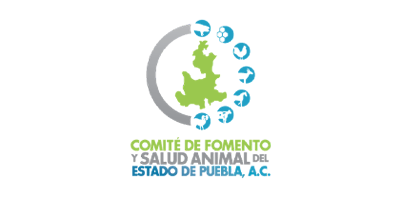 Colaborador 7