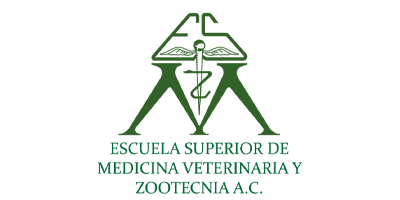 Colaborador 9